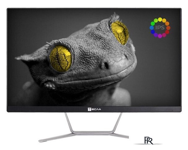 Моноблок ТЕСЛА Z24B 2108500 - Изображение №1 — Интернет-магазин ПроЗаказ