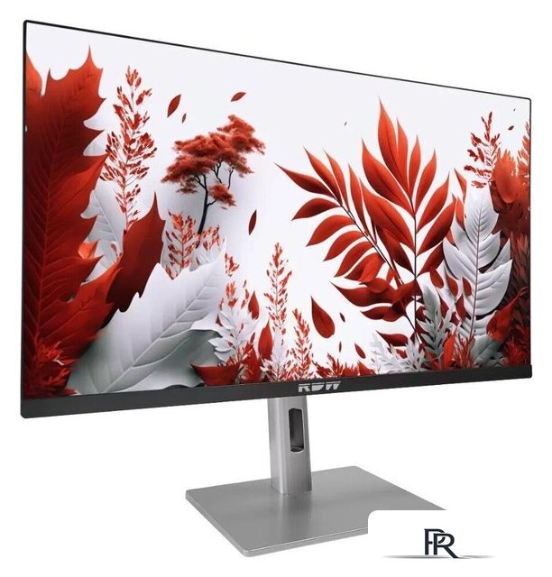 Монитор RDW Computers 2407K/F14В3120V2A1B - Изображение №4 — Интернет-магазин ПроЗаказ