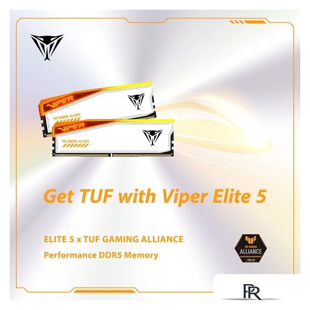 Оперативная память Patriot Viper Elite 5 RGB TUF Gaming Alliance 2x16ГБ DDR5 6000 МГц PVER532G60C36KT - Изображение №8 — Интернет-магазин ПроЗаказ