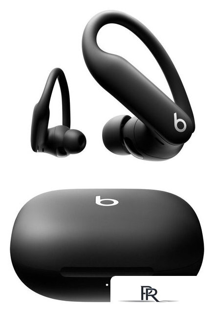 Наушники Beats Powerbeats Pro 2 (черный) - Изображение №1 — Интернет-магазин ПроЗаказ