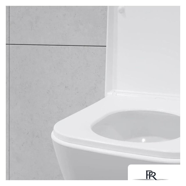 Унитаз подвесной Lauter Nuremberg 21811 + 21901002 (белый, с кнопкой смыва 219704J черный) - Изображение №30 — Интернет-магазин ПроЗаказ