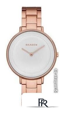 Наручные часы Skagen SKW2331 - Изображение №1 — Интернет-магазин ПроЗаказ