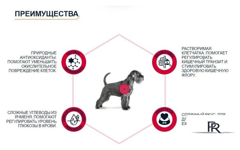 Сухой корм для собак Advance VetDiet Diabetes Colitis 3 кг - Изображение №3 — Интернет-магазин ПроЗаказ