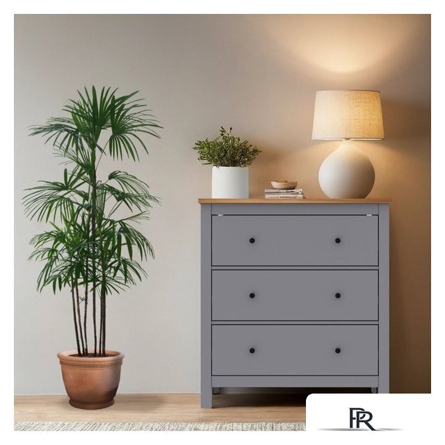 Комод Mio Tesoro Сага 2.08.02.020.15 (серый/ясень) - Изображение №3 — Интернет-магазин ПроЗаказ