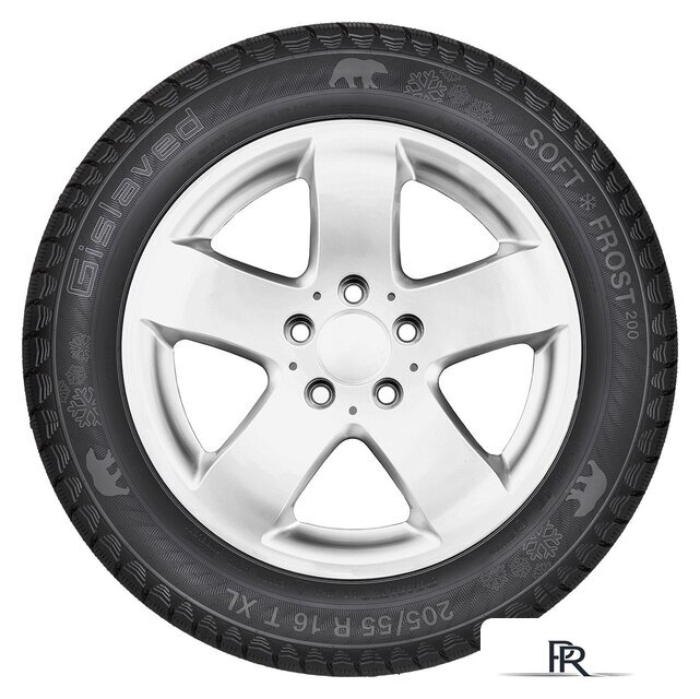 Зимние шины Gislaved Soft*Frost 200 195/55R16 91T - Изображение №3 — Интернет-магазин ПроЗаказ