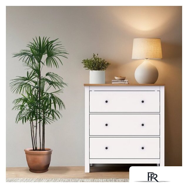 Комод Mio Tesoro Сага 2.08.02.020.14 (белый/ясень) - Изображение №3 — Интернет-магазин ПроЗаказ