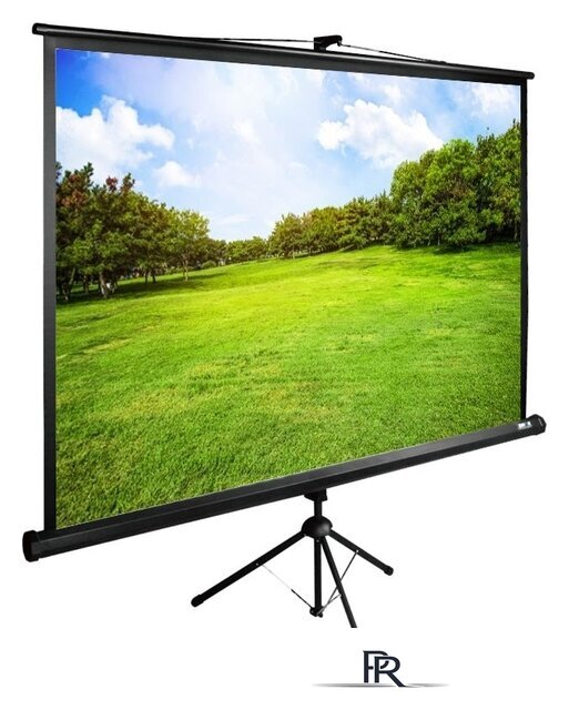 Проекционный экран CACTUS TriExpert 220x220 CS-PSTE-220х220-BK - Изображение №1 — Интернет-магазин ПроЗаказ