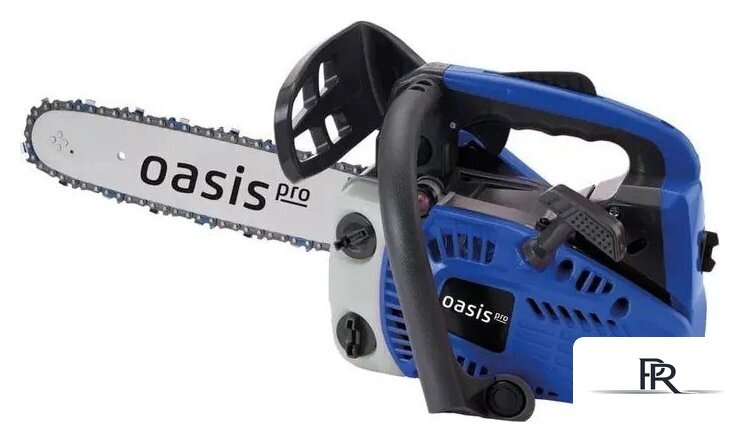Бензопила Oasis GS-2512 Pro - Изображение №1 — Интернет-магазин ПроЗаказ