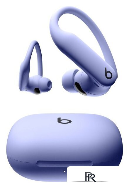 Наушники Beats Powerbeats Pro 2 (сиреневый) - Изображение №1 — Интернет-магазин ПроЗаказ