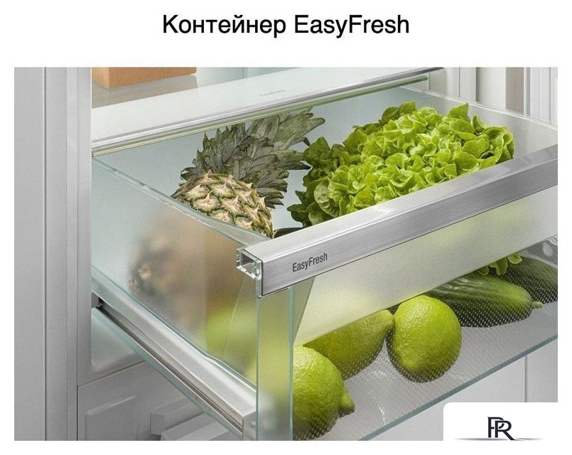 Холодильник Liebherr ICf 5103 Pure - Изображение №4 — Интернет-магазин ПроЗаказ