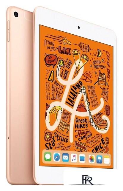Планшет Apple iPad mini 2019 256GB LTE MUXE2 (золотой) - Изображение №2 — Интернет-магазин ПроЗаказ