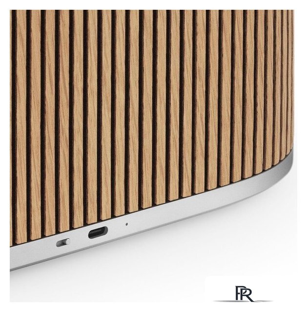 Беспроводная аудиосистема Bang & Olufsen BeoSound A5 (oak) - Изображение №7 — Интернет-магазин ПроЗаказ