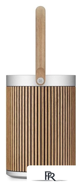 Беспроводная аудиосистема Bang & Olufsen BeoSound A5 (oak) - Изображение №6 — Интернет-магазин ПроЗаказ