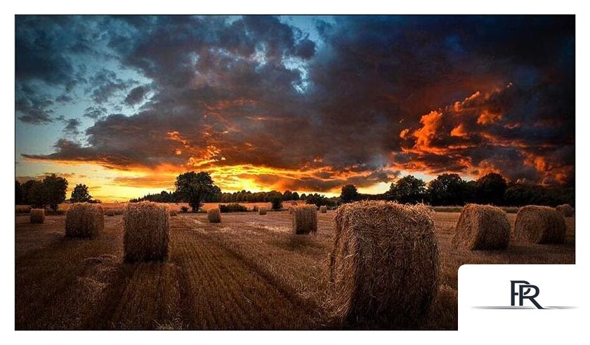 Информационная панель Samsung VM55T-U - Изображение №1 — Интернет-магазин ПроЗаказ