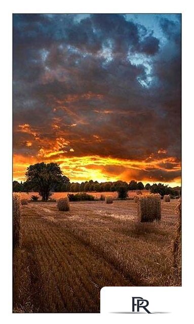 Информационная панель Samsung VM55T-U - Изображение №6 — Интернет-магазин ПроЗаказ