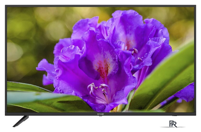 Телевизор Skyline 43LT5901 - Изображение №1 — Интернет-магазин ПроЗаказ