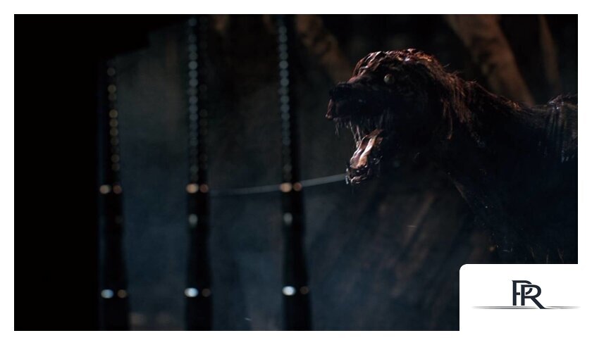  Bloodborne: Порождение крови. Game of the Year Edition для PlayStation 4 - Изображение №7 — Интернет-магазин ПроЗаказ