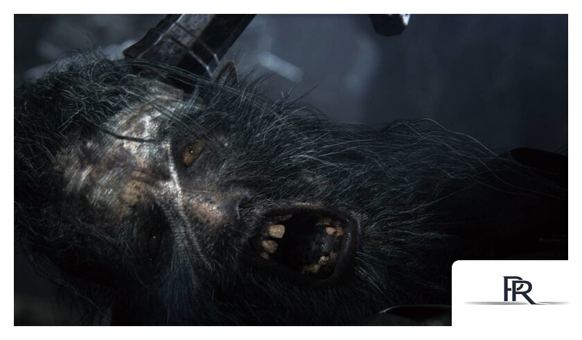  Bloodborne: Порождение крови. Game of the Year Edition для PlayStation 4 - Изображение №9 — Интернет-магазин ПроЗаказ