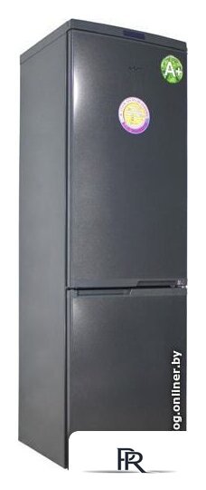 Холодильник Don R-290 G - Изображение №1 — Интернет-магазин ПроЗаказ