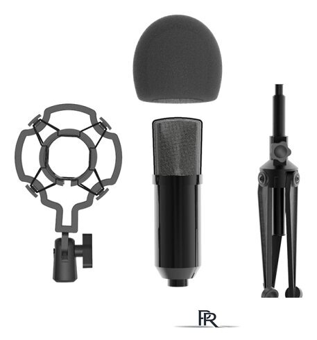 Проводной микрофон Ritmix RDM-160 - Изображение №4 — Интернет-магазин ПроЗаказ