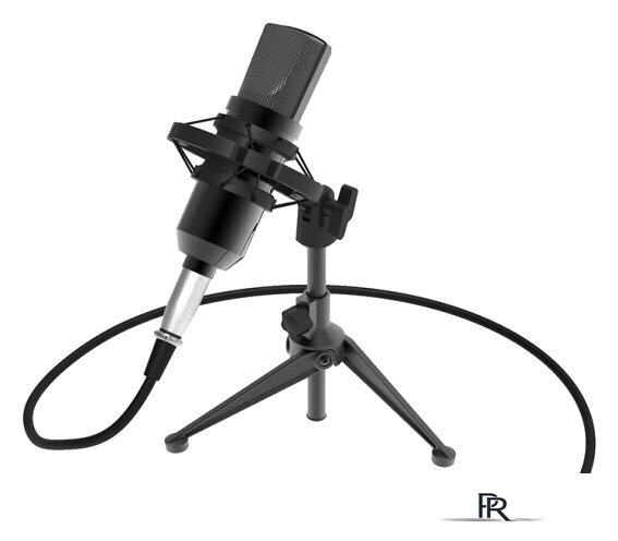 Проводной микрофон Ritmix RDM-160 - Изображение №2 — Интернет-магазин ПроЗаказ