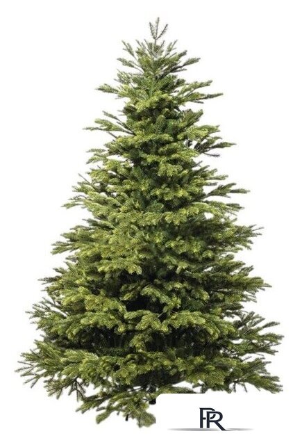 Ель National Tree Company Таежная ТЖ-150 150 см - Изображение №1 — Интернет-магазин ПроЗаказ