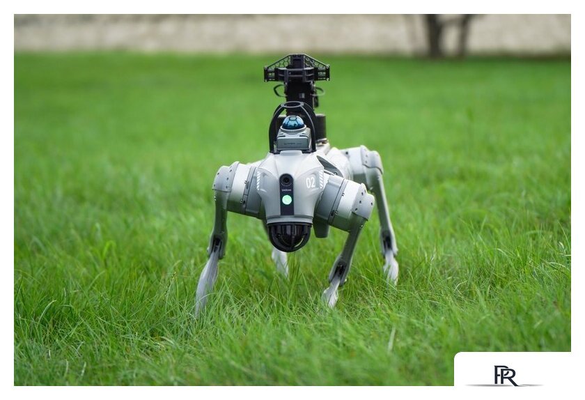 Умный робот-друг Unitree Go2 Pro - Изображение №3 — Интернет-магазин ПроЗаказ