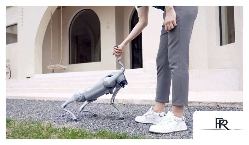 Умный робот-друг Unitree Go2 Pro - Изображение №15 — Интернет-магазин ПроЗаказ