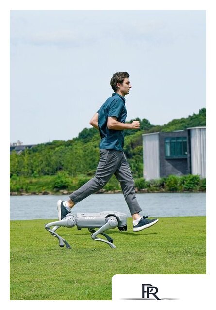 Умный робот-друг Unitree Go2 Pro - Изображение №5 — Интернет-магазин ПроЗаказ