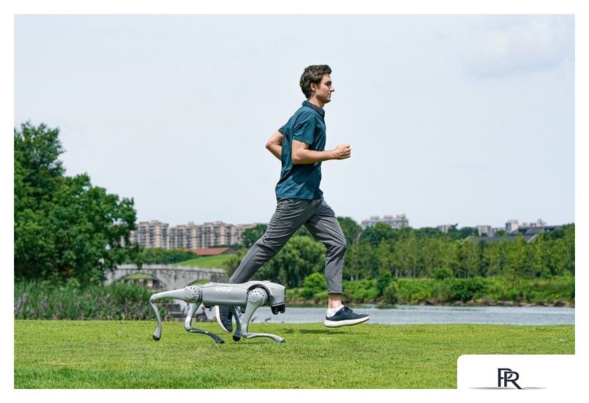 Умный робот-друг Unitree Go2 Pro - Изображение №6 — Интернет-магазин ПроЗаказ
