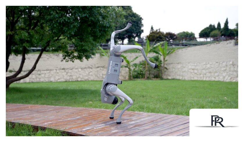 Умный робот-друг Unitree Go2 Pro - Изображение №18 — Интернет-магазин ПроЗаказ