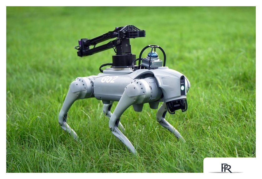 Умный робот-друг Unitree Go2 Pro - Изображение №2 — Интернет-магазин ПроЗаказ