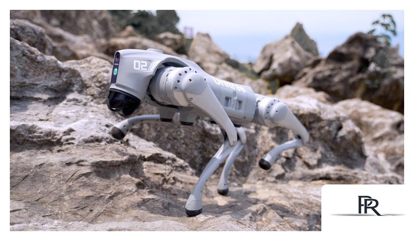 Умный робот-друг Unitree Go2 Pro - Изображение №23 — Интернет-магазин ПроЗаказ