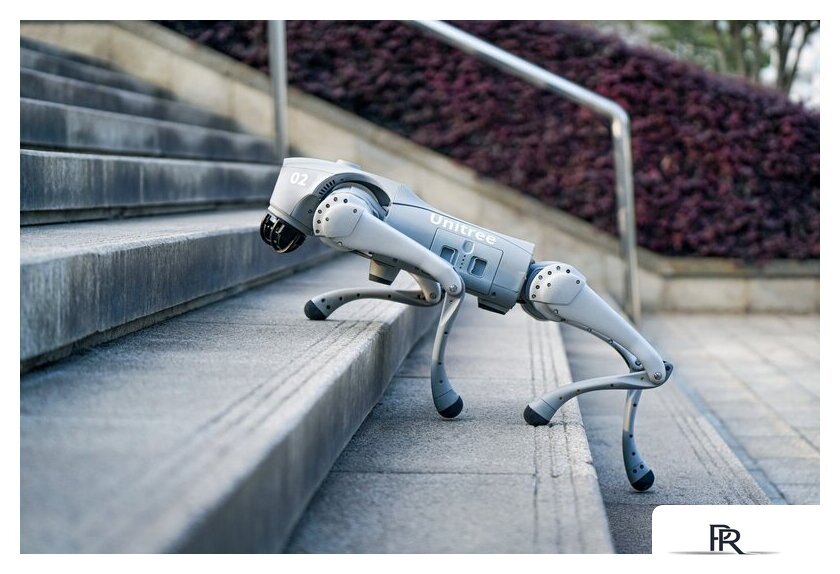 Умный робот-друг Unitree Go2 Pro - Изображение №11 — Интернет-магазин ПроЗаказ