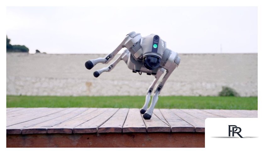 Умный робот-друг Unitree Go2 Pro - Изображение №17 — Интернет-магазин ПроЗаказ