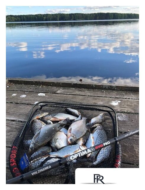 Удилище Волжанка Optima Evo Pro 10ft тест 25+гр 041-0111 (3м) - Изображение №8 — Интернет-магазин ПроЗаказ