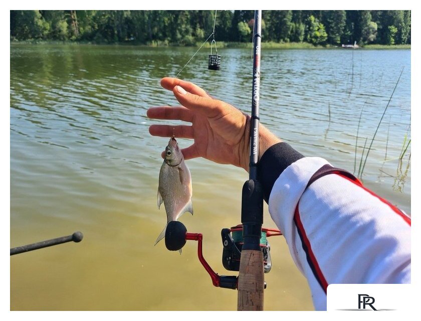 Удилище Волжанка Optima Evo Pro 10ft тест 25+гр 041-0111 (3м) - Изображение №7 — Интернет-магазин ПроЗаказ