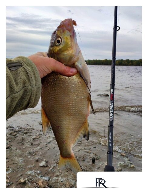 Удилище Волжанка Optima Evo Pro 10ft тест 25+гр 041-0111 (3м) - Изображение №5 — Интернет-магазин ПроЗаказ