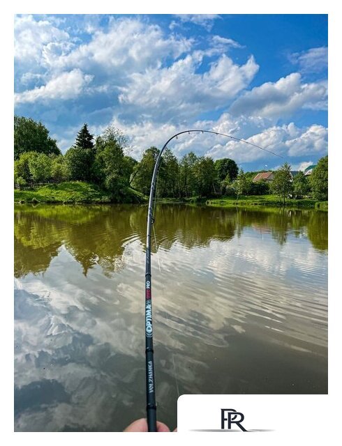 Удилище Волжанка Optima Evo Pro 10ft тест 25+гр 041-0111 (3м) - Изображение №6 — Интернет-магазин ПроЗаказ