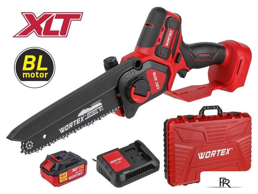Аккумуляторная пила Wortex CEC 2018 ALL1 XLT Set 2329052 (с 1-им АКБ, кейс) - Изображение №1 — Интернет-магазин ПроЗаказ