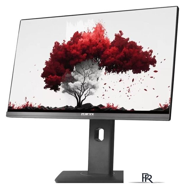 Монитор RDW Computers RDW2402K/F00B3 - Изображение №2 — Интернет-магазин ПроЗаказ