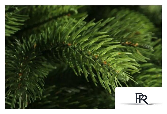 Ель National Tree Company Эверест ЭВ-180 (180 см) - Изображение №4 — Интернет-магазин ПроЗаказ