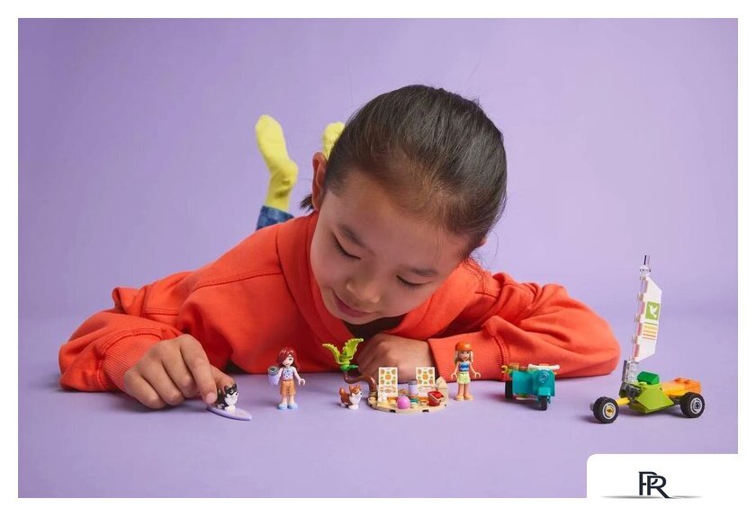 Конструктор LEGO Friends 42641 Собаки-серфингисты и приключения на скутере - Изображение №10 — Интернет-магазин ПроЗаказ