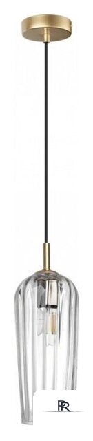 Люстра средней высоты Lumion Ellie Suspentioni 6551/1B - Изображение №1 — Интернет-магазин ПроЗаказ