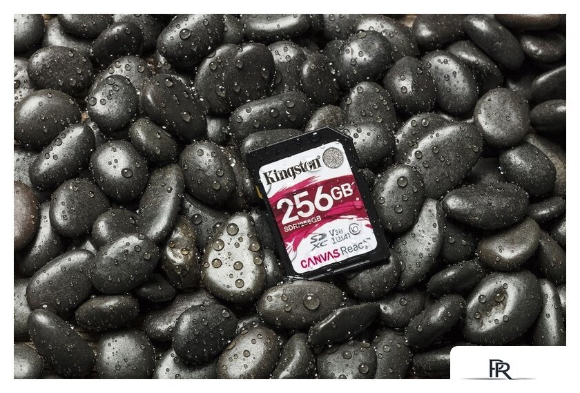 Карта памяти Kingston Canvas React SDR/256GB SDXC 256GB - Изображение №6 — Интернет-магазин ПроЗаказ