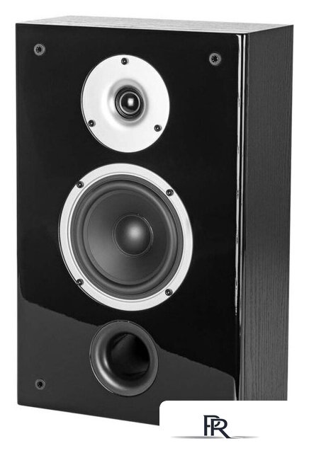  WILSON Raptor On-Wall Black Ash - Изображение №4 — Интернет-магазин ПроЗаказ