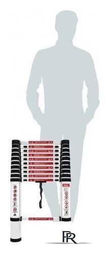 Лестница-трансформер Сорокин 24.37 - Изображение №2 — Интернет-магазин ПроЗаказ