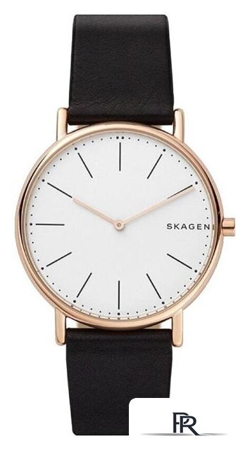 Наручные часы Skagen SKW6430 - Изображение №1 — Интернет-магазин ПроЗаказ