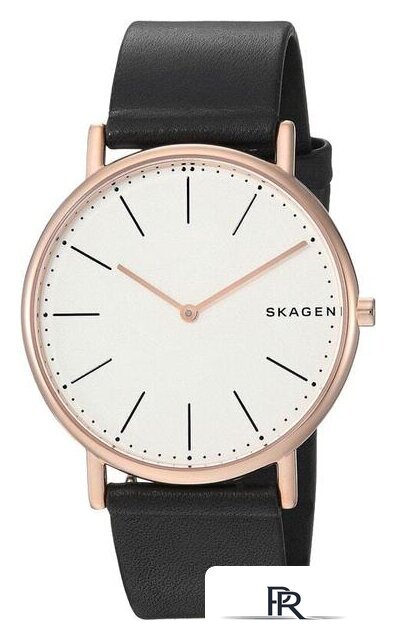 Наручные часы Skagen SKW6430 - Изображение №2 — Интернет-магазин ПроЗаказ