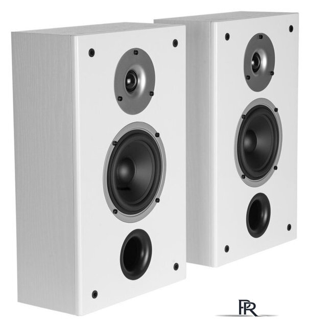  WILSON Raptor On-Wall White Ash - Изображение №1 — Интернет-магазин ПроЗаказ